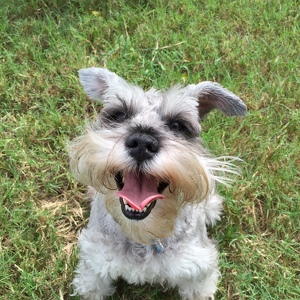 Fundraising Page: Kenny Carter